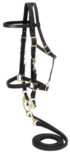 Black Tough 1 Australian Outrider Nylon Bridle/Halter