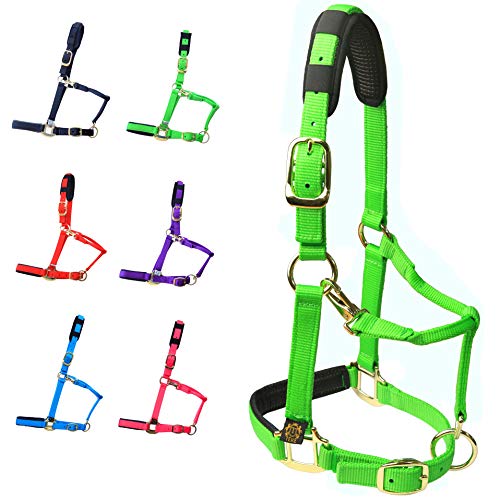 T TEKE Adjustable Padded Horse Halters, Heavy Duty