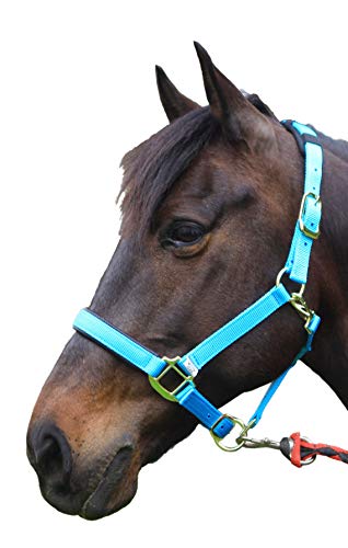 T TEKE Adjustable Padded Horse Halters, Heavy Duty