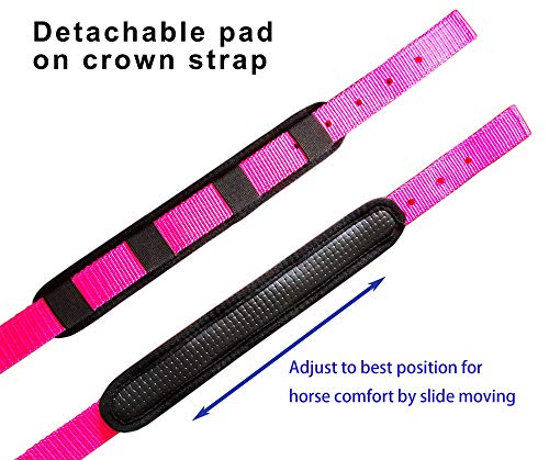 T TEKE Adjustable Padded Horse Halters, Heavy Duty