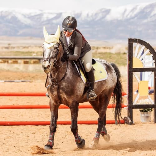 HR Farm Women's Full Seat Silicone Grip Breeches (Beige, Size 30)