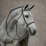 Hunter Bridle by Suffolk for Horse-R, Brown
