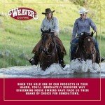 Weaver Leather Horse Grooming Kit Black/Beige