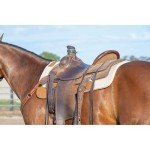 Weaver Leather Wool Blend Saddle Pad, Tan