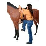 Tough-1 Ride Easier with Standard Stirrup Mount