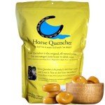 Butterscotch Horse Quenchers, 3.5 lbs - Prevent Dehydration
