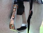 Aluminum Antique Copper Cactus Engraved Western Stirrups