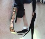 Aluminum Antique Copper Cactus Engraved Western Stirrups