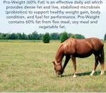 10lb MVP Pro-Weight for Healthy Horse Weight Gain