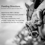 Senior Horse Joint, Immune & Digestive Support Supplement