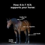 4-in-1 Horse Supplement for Joint, Hair, Hoof & Digestion