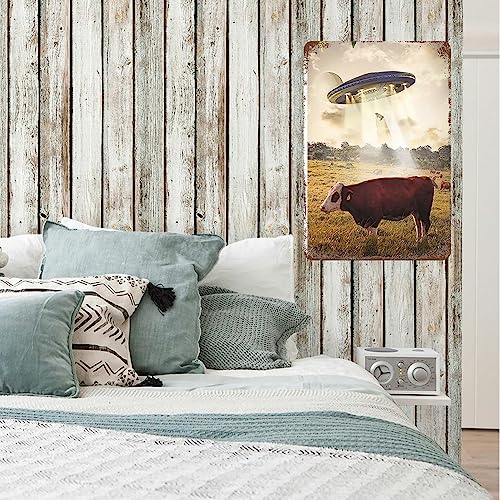 Vintage Funny Cow UFO Metal Tin Sign