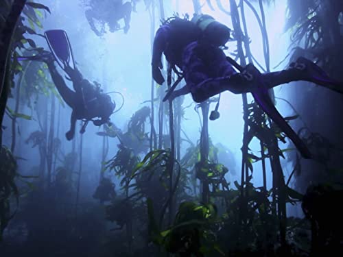 Abyssal UFO Encounters