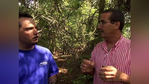 Fayetteville UFO Enigma