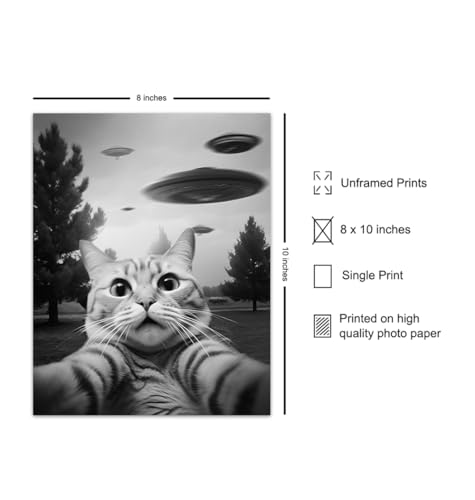 UFO Cat Wall Art - Funny Teen Boy Decor
