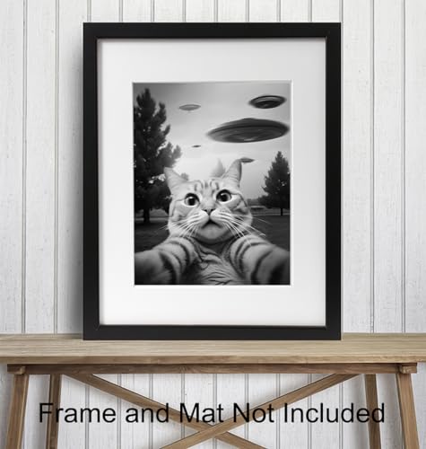 UFO Cat Wall Art - Funny Teen Boy Decor