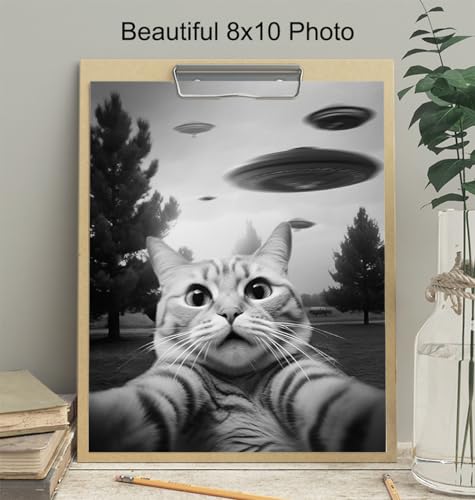 UFO Cat Wall Art - Funny Teen Boy Decor