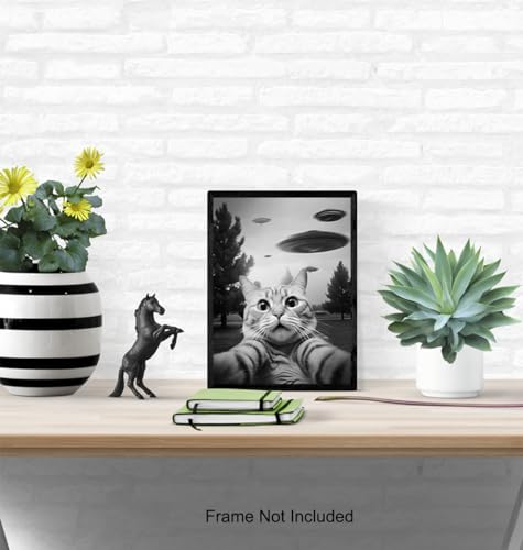 UFO Cat Wall Art - Funny Teen Boy Decor