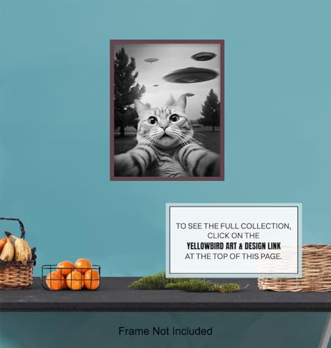 UFO Cat Wall Art - Funny Teen Boy Decor