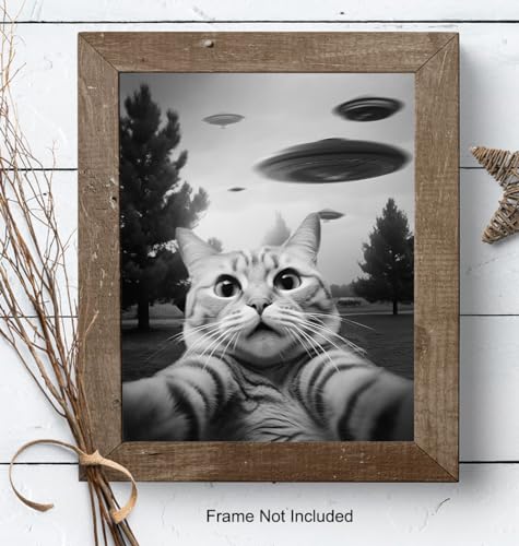 UFO Cat Wall Art - Funny Teen Boy Decor
