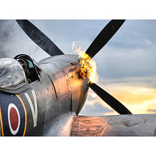 Taylor Spitfire Fighter Plane Canvas Print 18X24 Inch