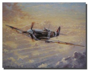 Spitfire Military Airplane Aviation Wall Decor Art Print - 16x20