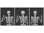Halloween Skeleton Wall Art & Decor