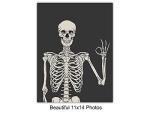 Halloween Skeleton Wall Art & Decor