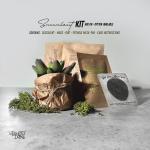 Ghost Face Scream Concrete Planter - Desk Planter