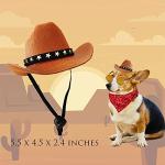 Pet Halloween Western Cowboy Costume Set