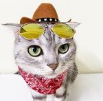 Pet Halloween Western Cowboy Costume Set