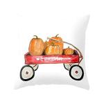 4 Halloween-themed Pillow Covers for Spooky Home Decor