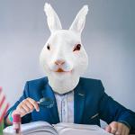 Realistic Rabbit Mask for Halloween Costume Carnival Party