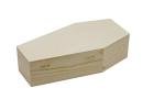 Halloween Coffin Box - Spooky Décor and Party Favor