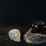 LED Skull Decorations - Black & White - 2PCS