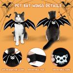 Halloween Cat Costume Set for Small Cats & Dogs