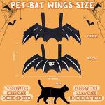 Halloween Cat Costume Set for Small Cats & Dogs