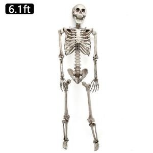 Poseable Skeleton Halloween Decoration