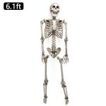 Poseable Skeleton Halloween Decoration