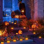 ORIA Pumpkin Tea Lights, 12 Pack for Halloween décor