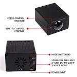 Water Ripple Lights for Halloween Party