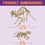 Halloween Skeleton Cat and Rat Set
