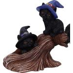 Witches' Black Cat Broomstick Figurine, 27.5cm