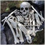 Halloween Skull Coffin Prop with Foam Chain