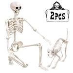 5.4Ft Poseable Human Skeleton with Cat for Halloween