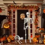 5.4Ft Poseable Human Skeleton with Cat for Halloween