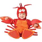 Toddler Dino/Lobster Halloween Costume Set