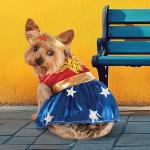 Wonder Woman Dog Costume for Halloween, Small