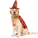 POPETPOP Dog Wizard Costume with Witch Hat - Halloween Apparels