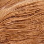 Lion Mane Wig for Dogs and Cats Costume